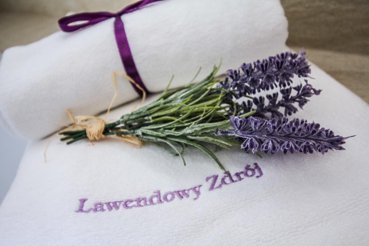 Lawendowy Zdroj Medycyna I Spa Буско-Здруй Экстерьер фото